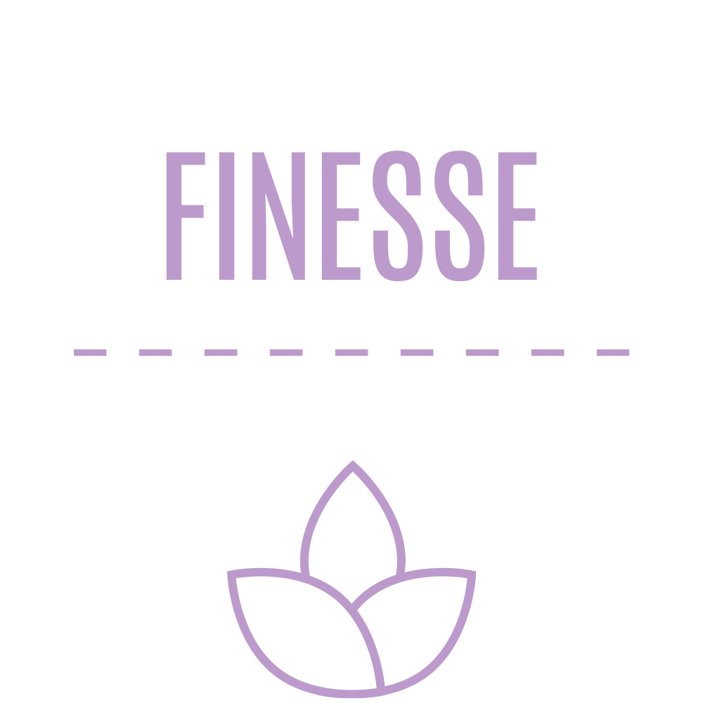 icon Finesse 03